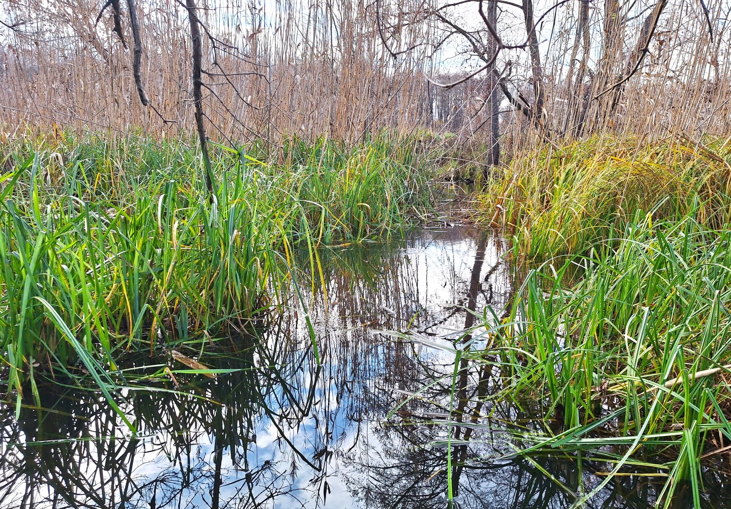 784 Tahamlyk11 Khaschi Resized