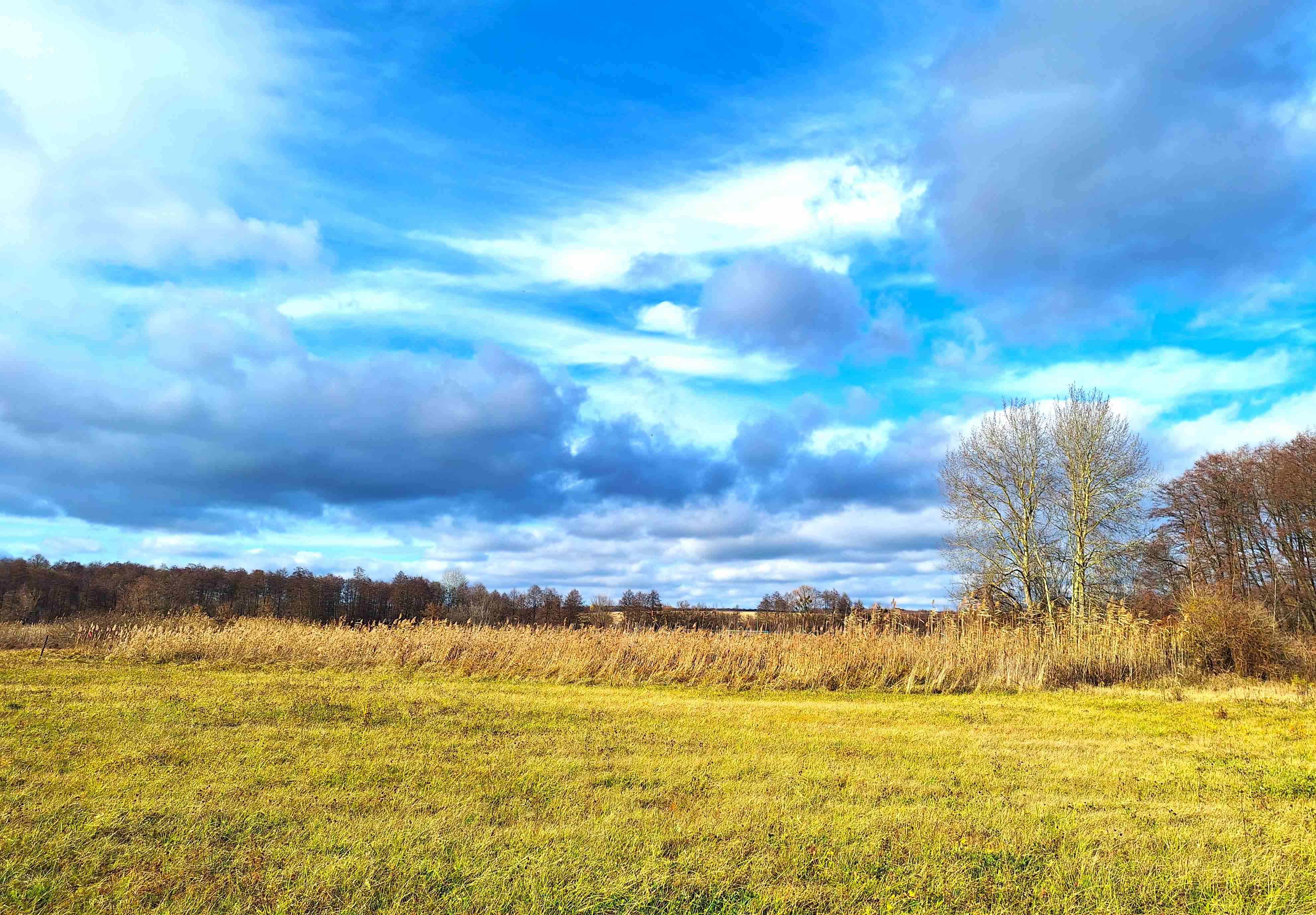 784 Tahamlyk1 Resized