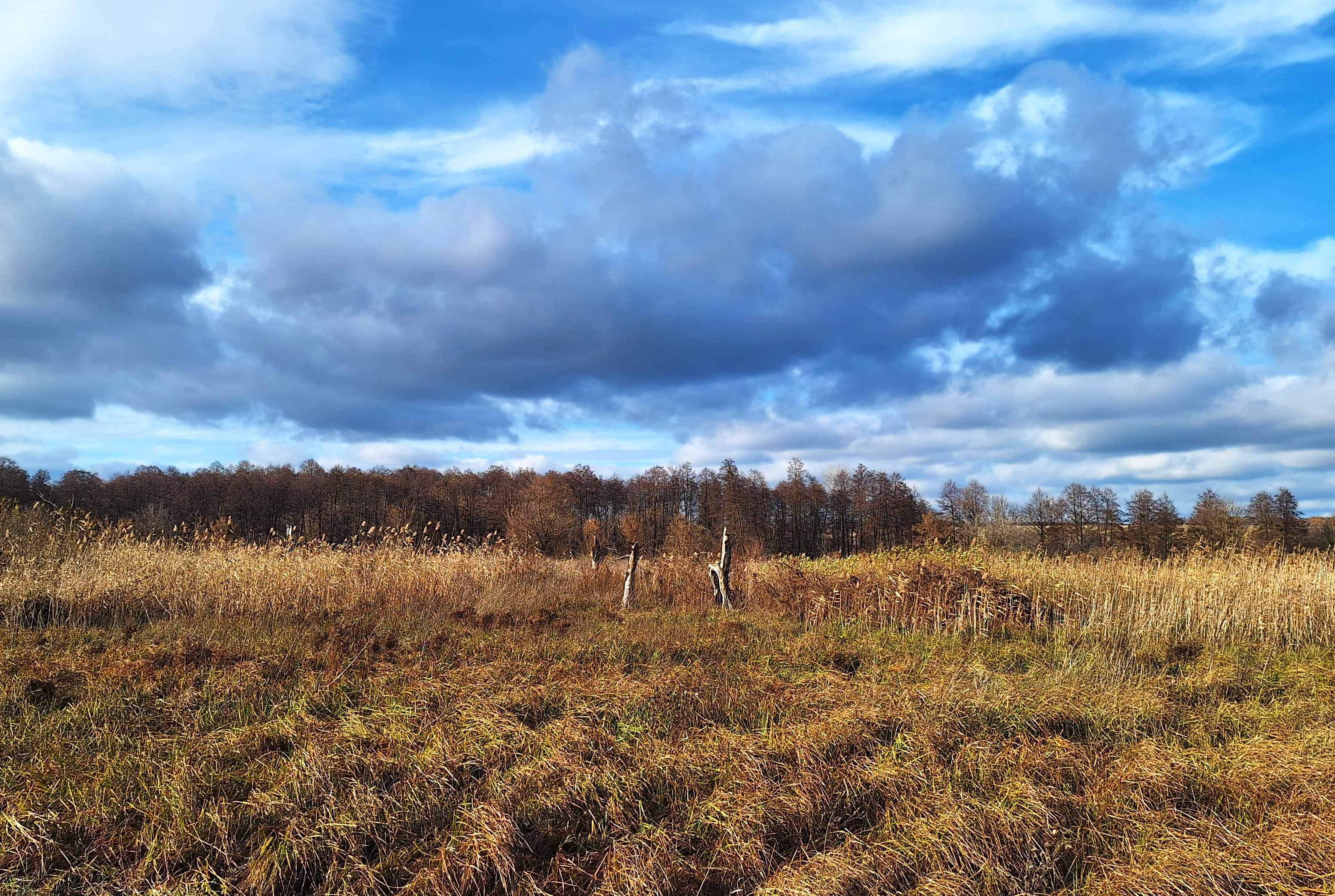 784 Tahamlyk2 Resized