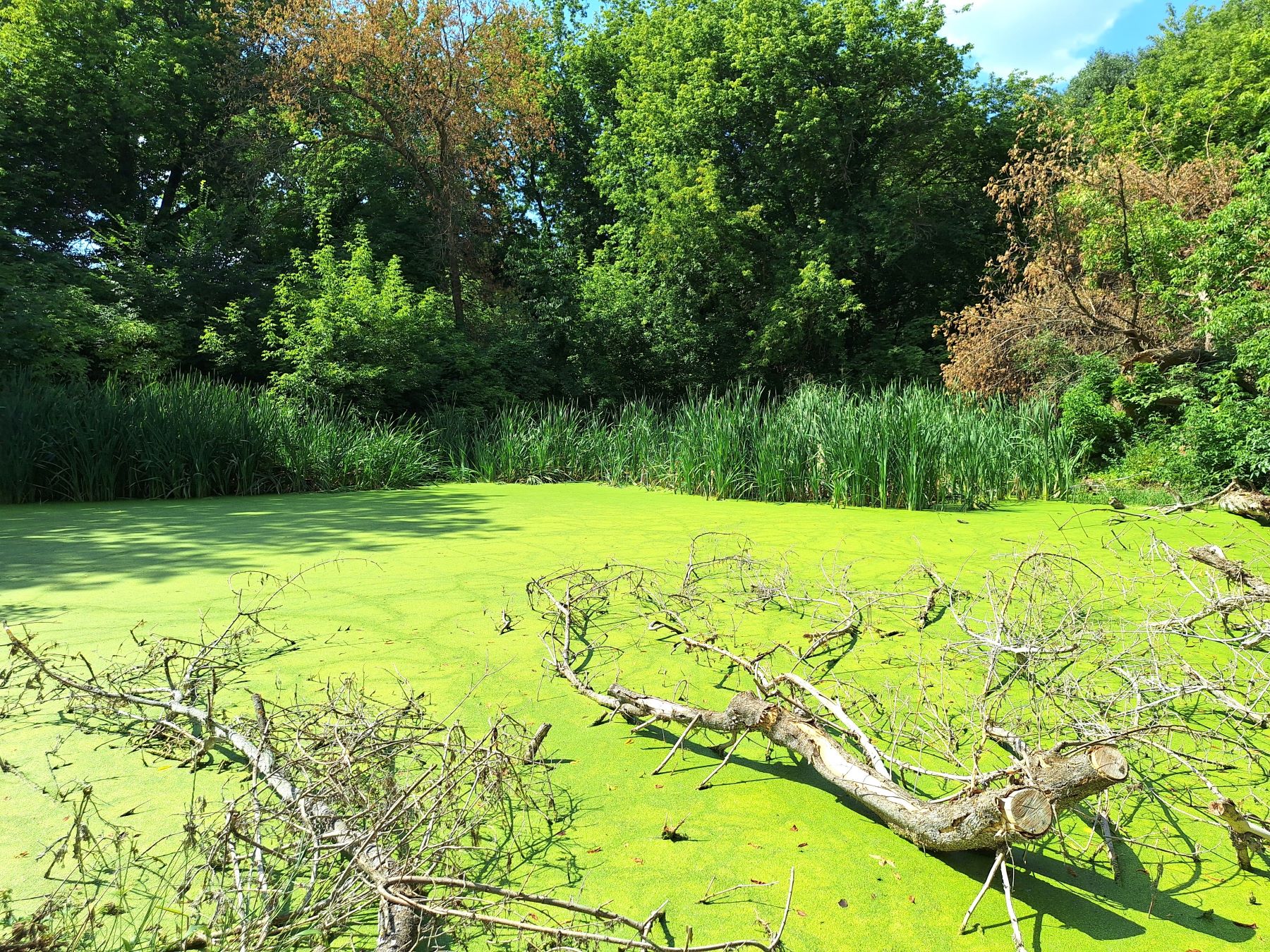 799 Vodokachka Small