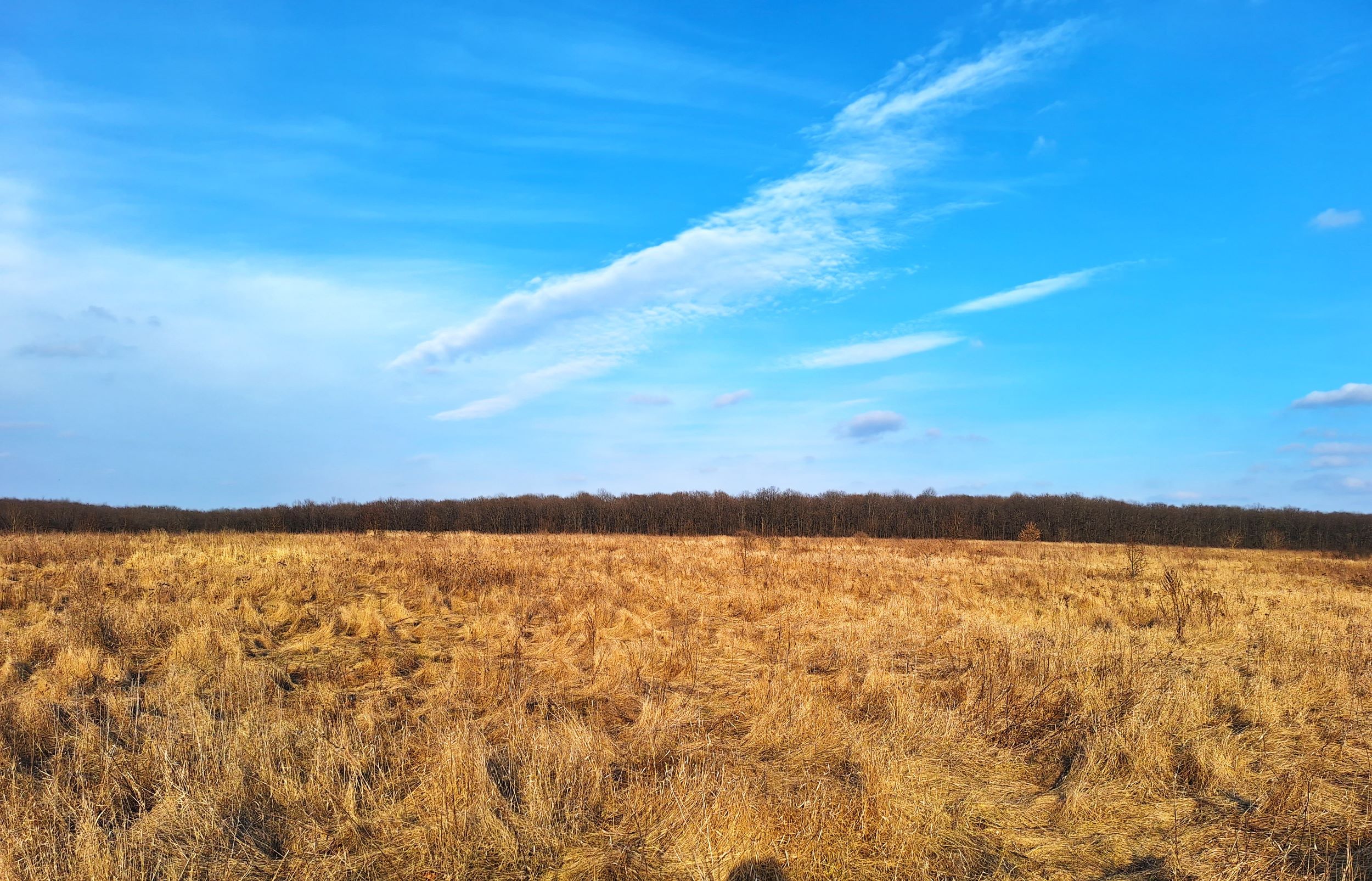 802 Vyd na Horodyshche1