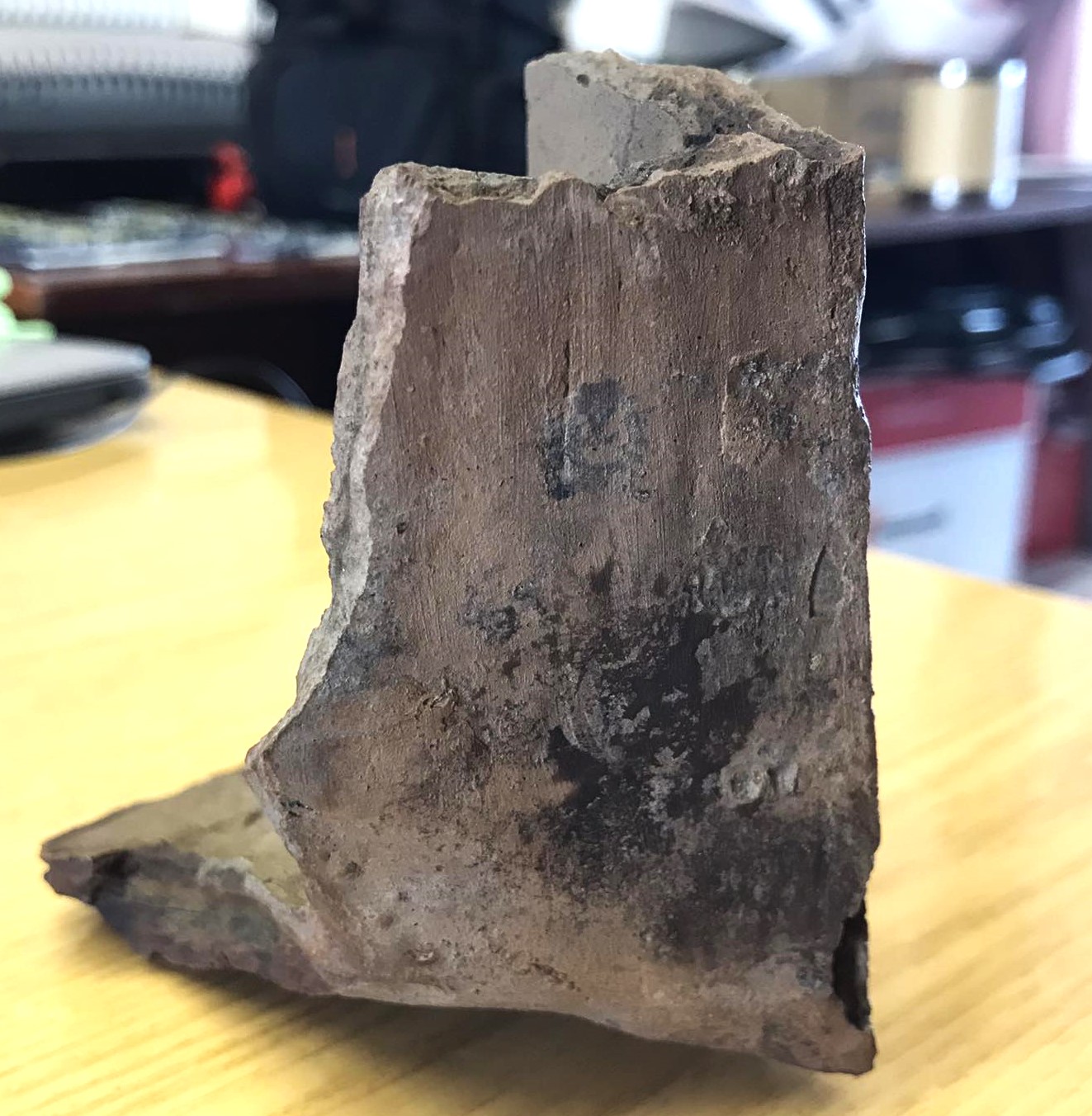 803 Kahlya na rebri1