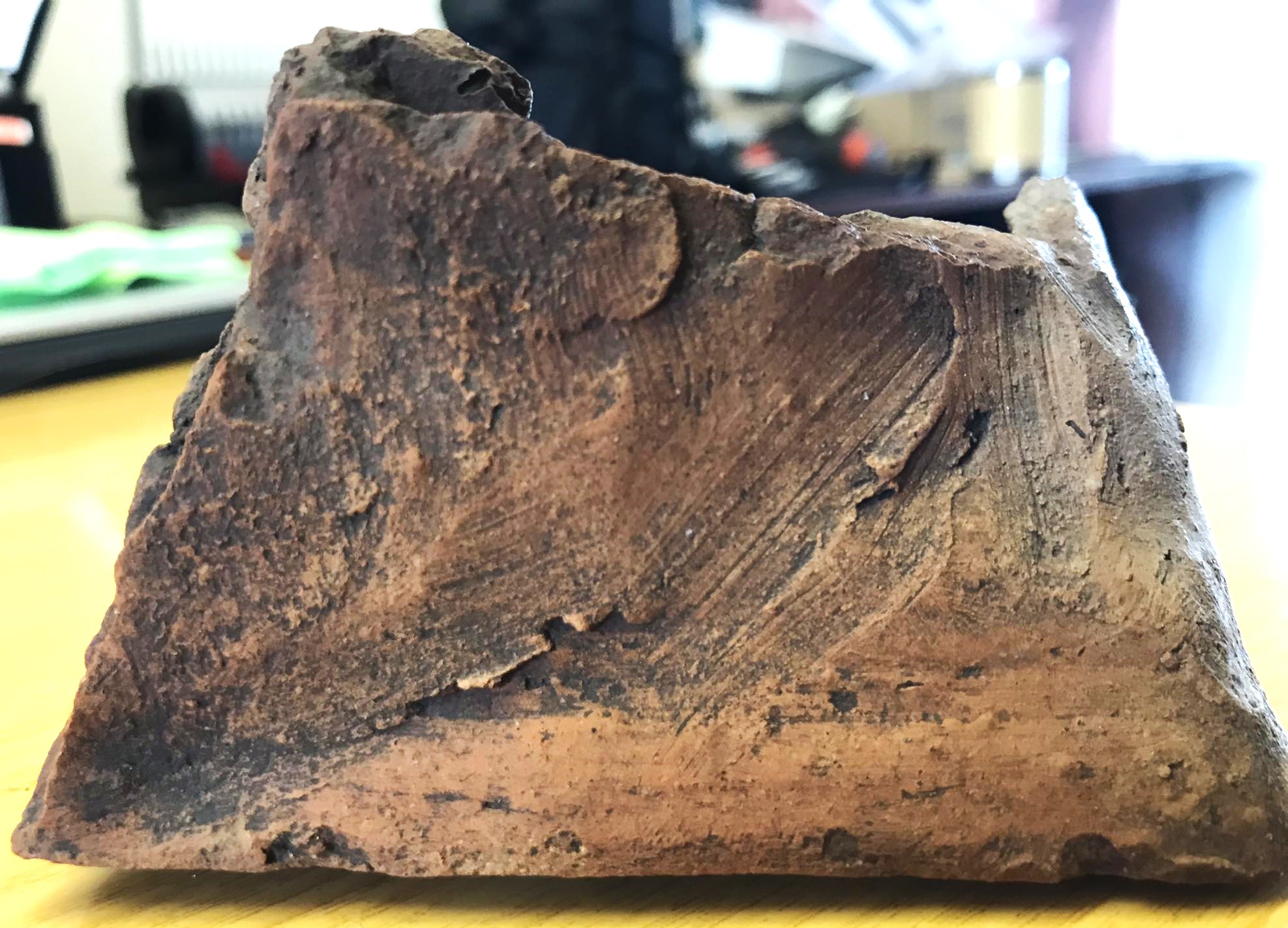 803 Kahlya v profil1