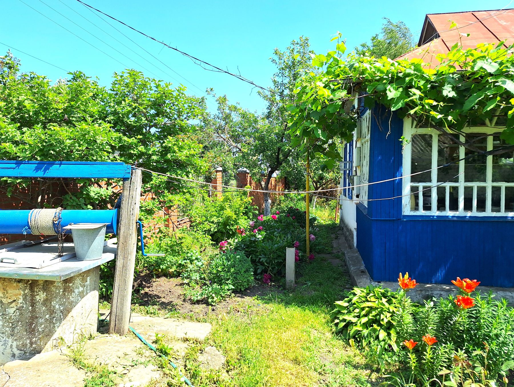 830 Pashchenivka Dvir Small