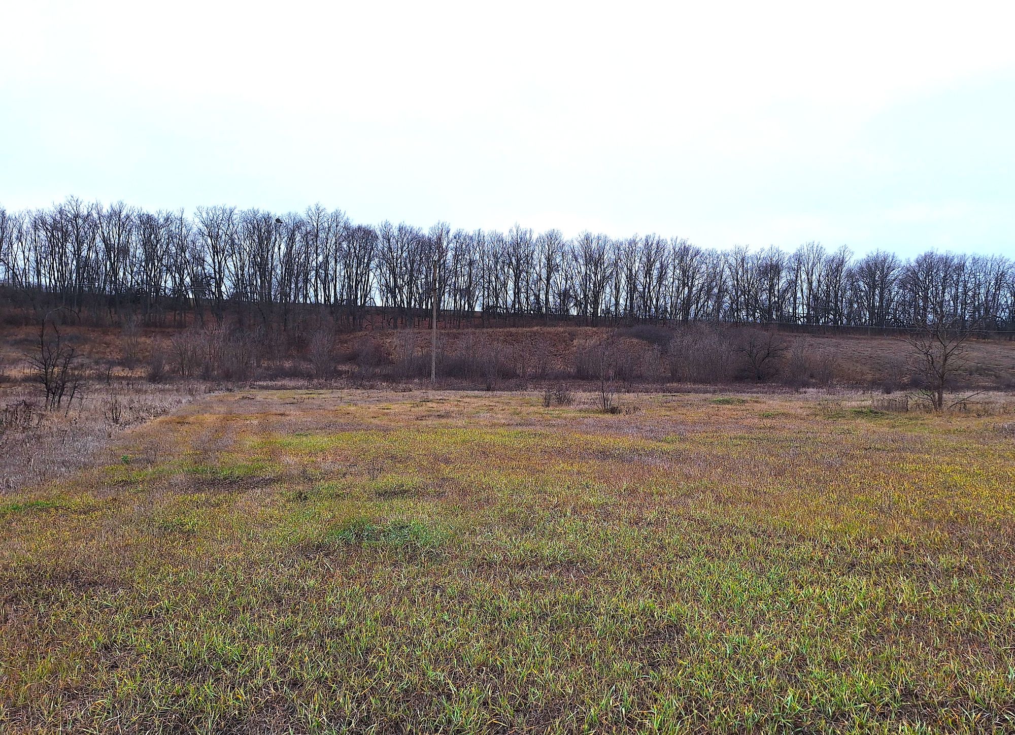 Buzova Kruty Skhyl Small