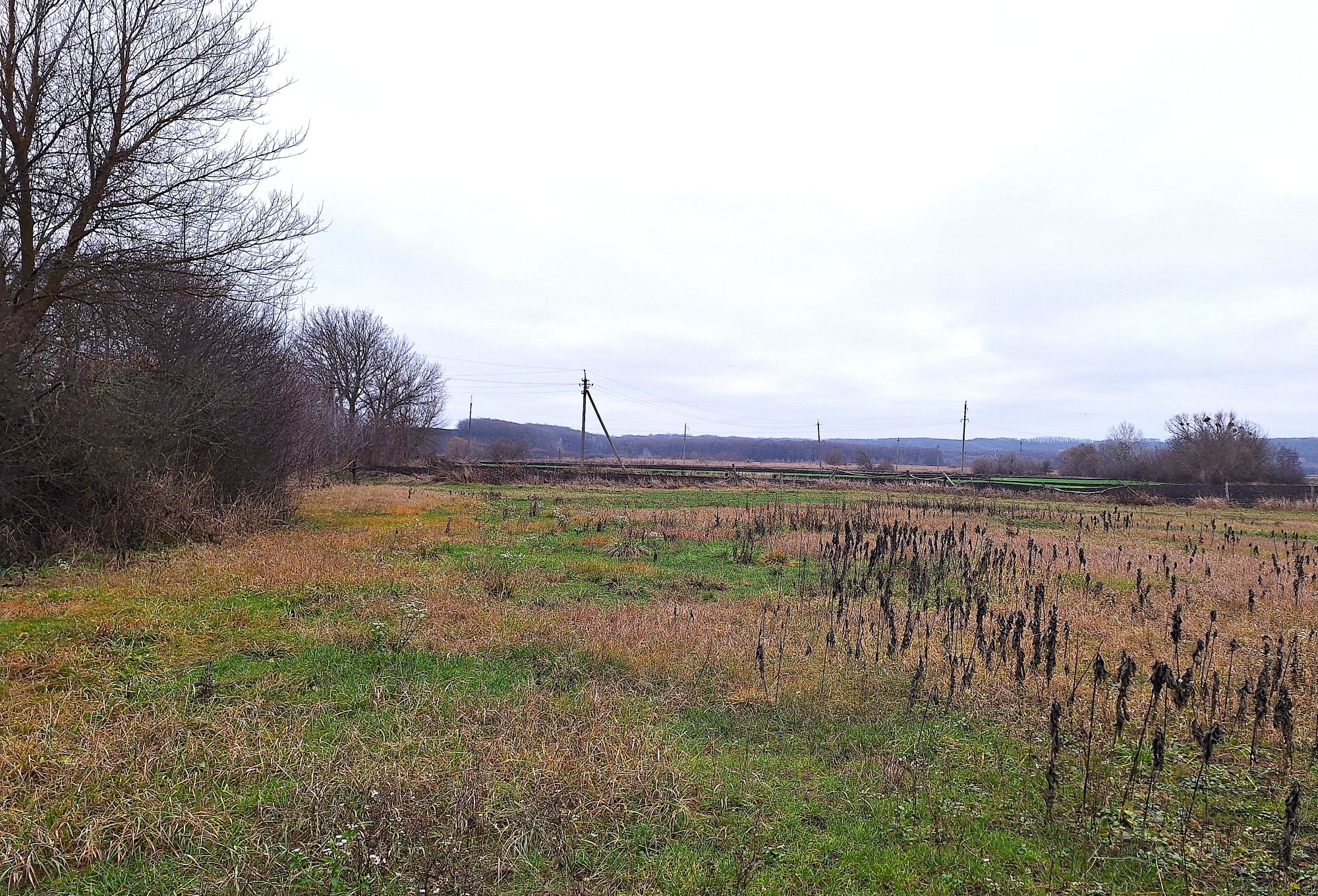 Buzova Rizunenkove Small