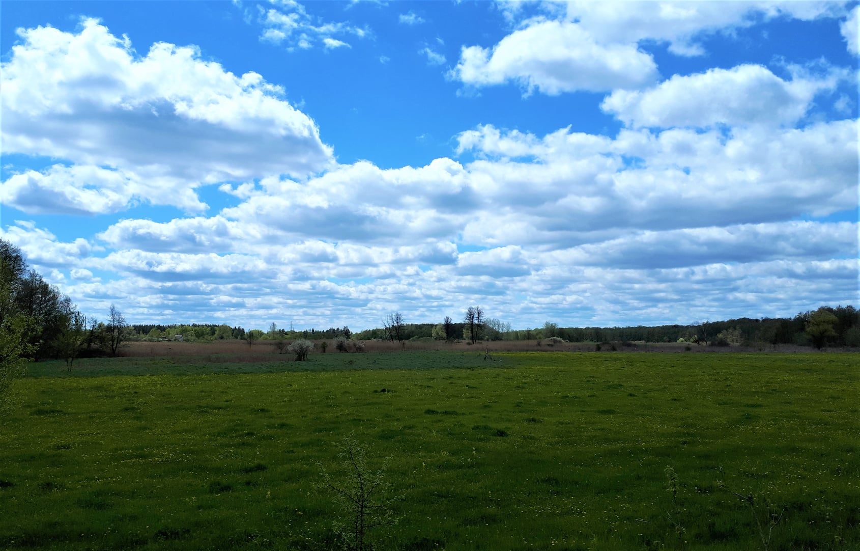 4 Hryshkove lawn. Правий берег річки Коломак біля Гришкового. Можливо, саме тут, або десь неподалік і проходила Коломацька рада?