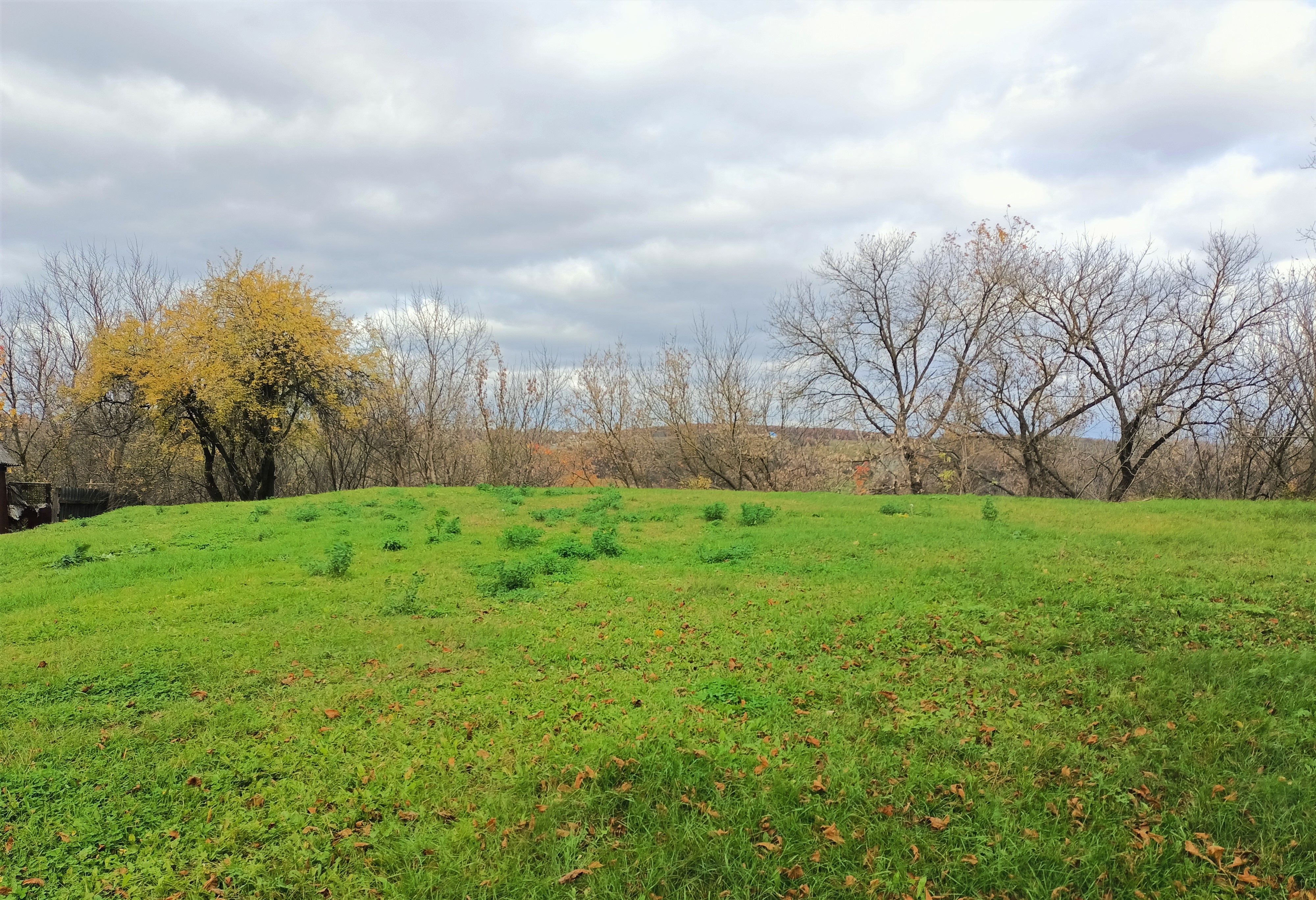 7335 Sukhoputny Vyizd iz Kolomaka