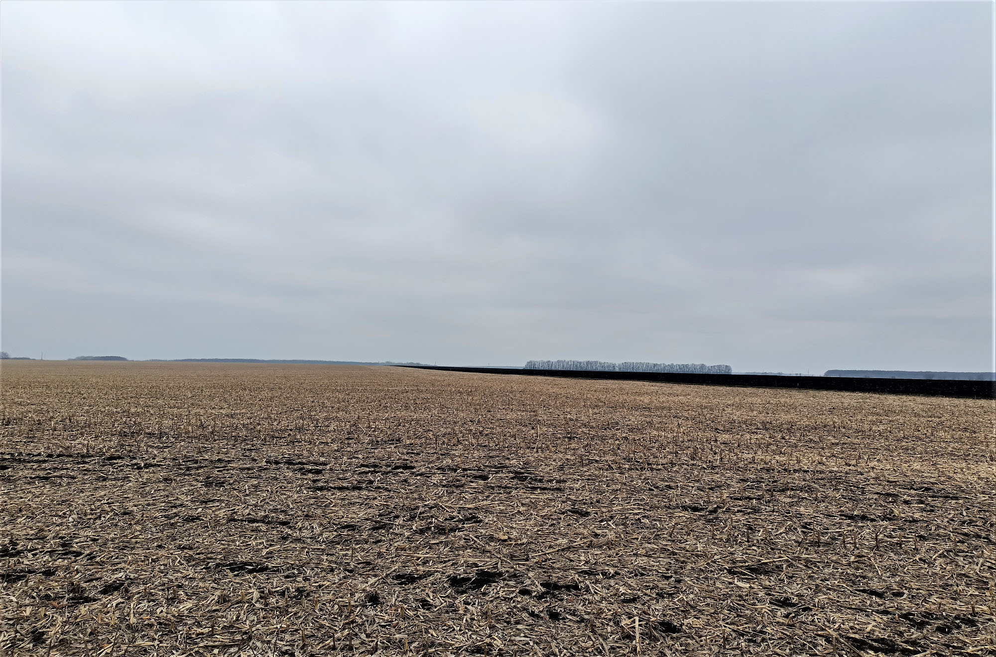 7363 Muravsky Shliakh Vyd iz dorohy na Perekip