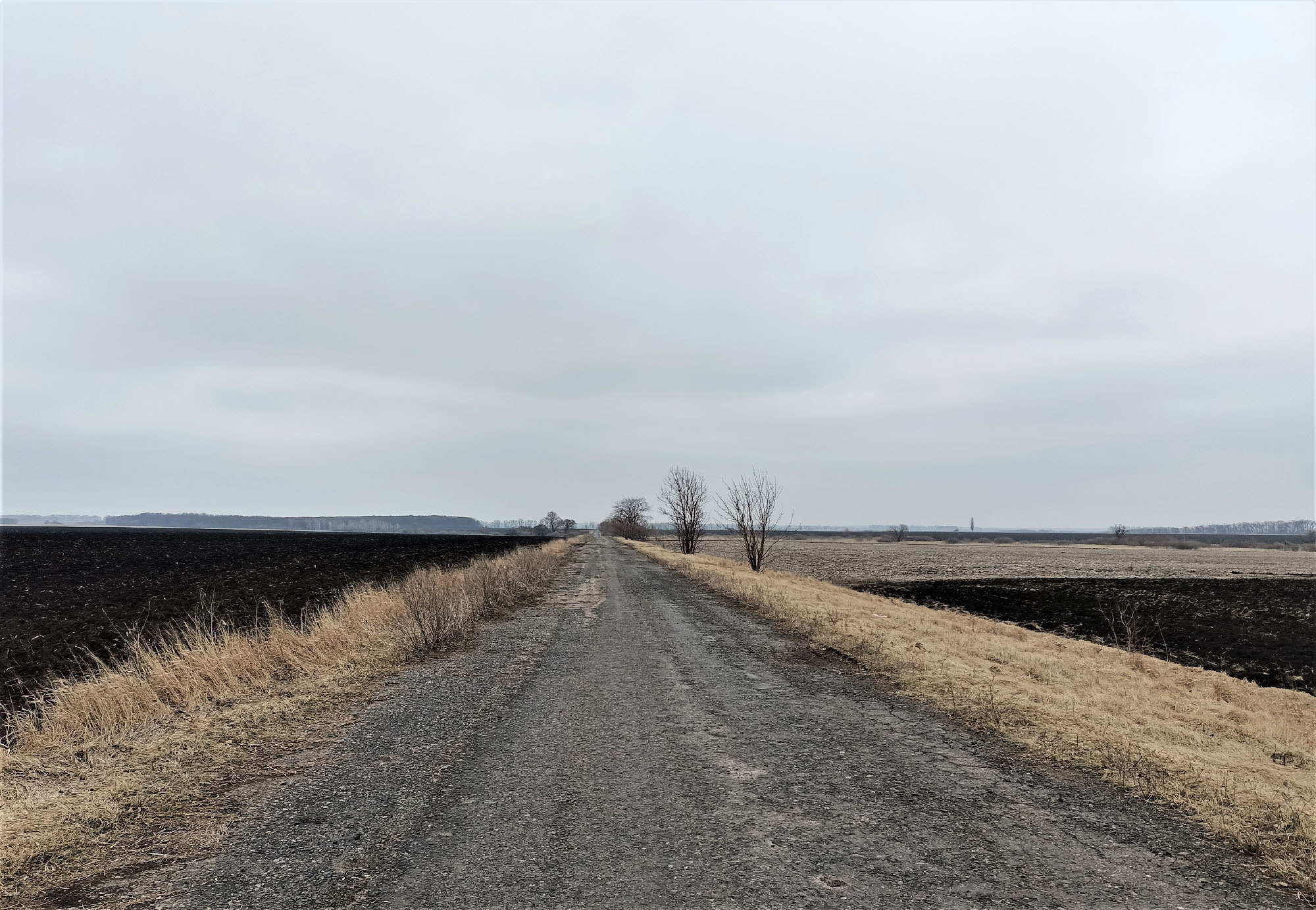 7365 Ьuravsky Shliakh vid Kantakuzivky do Rozvylky