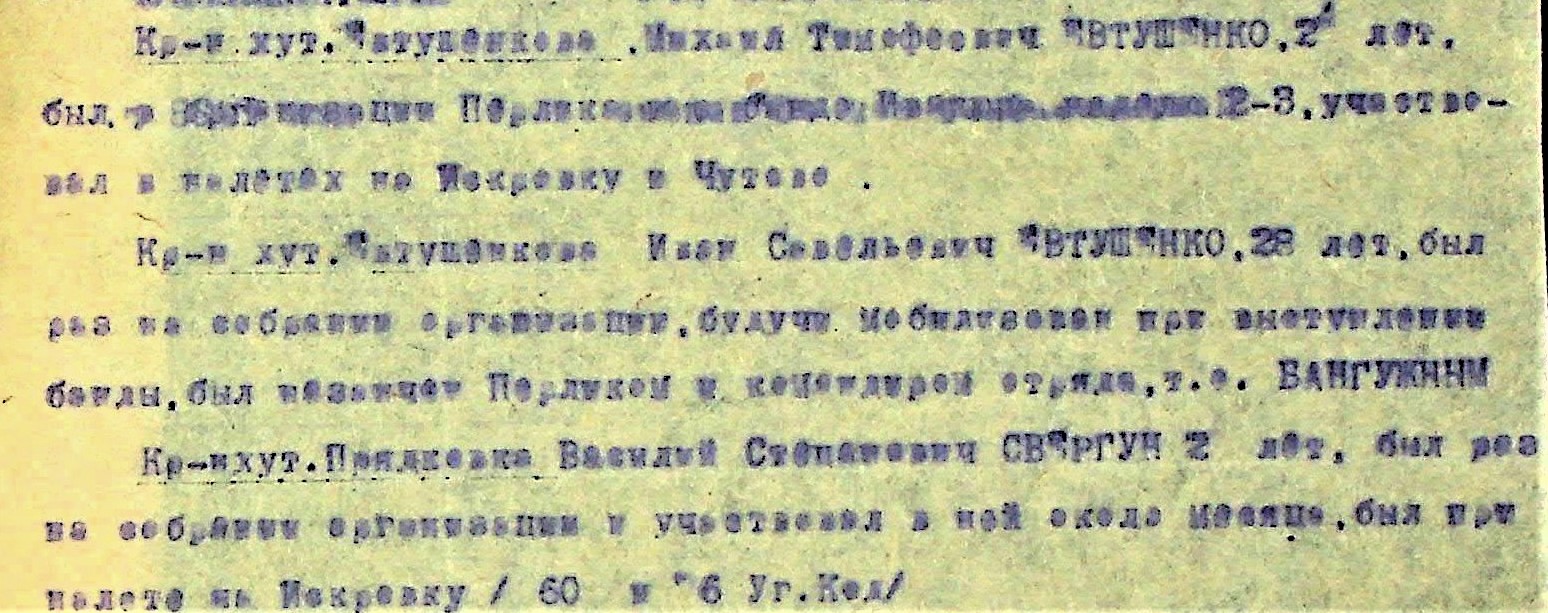 5 Organization Members