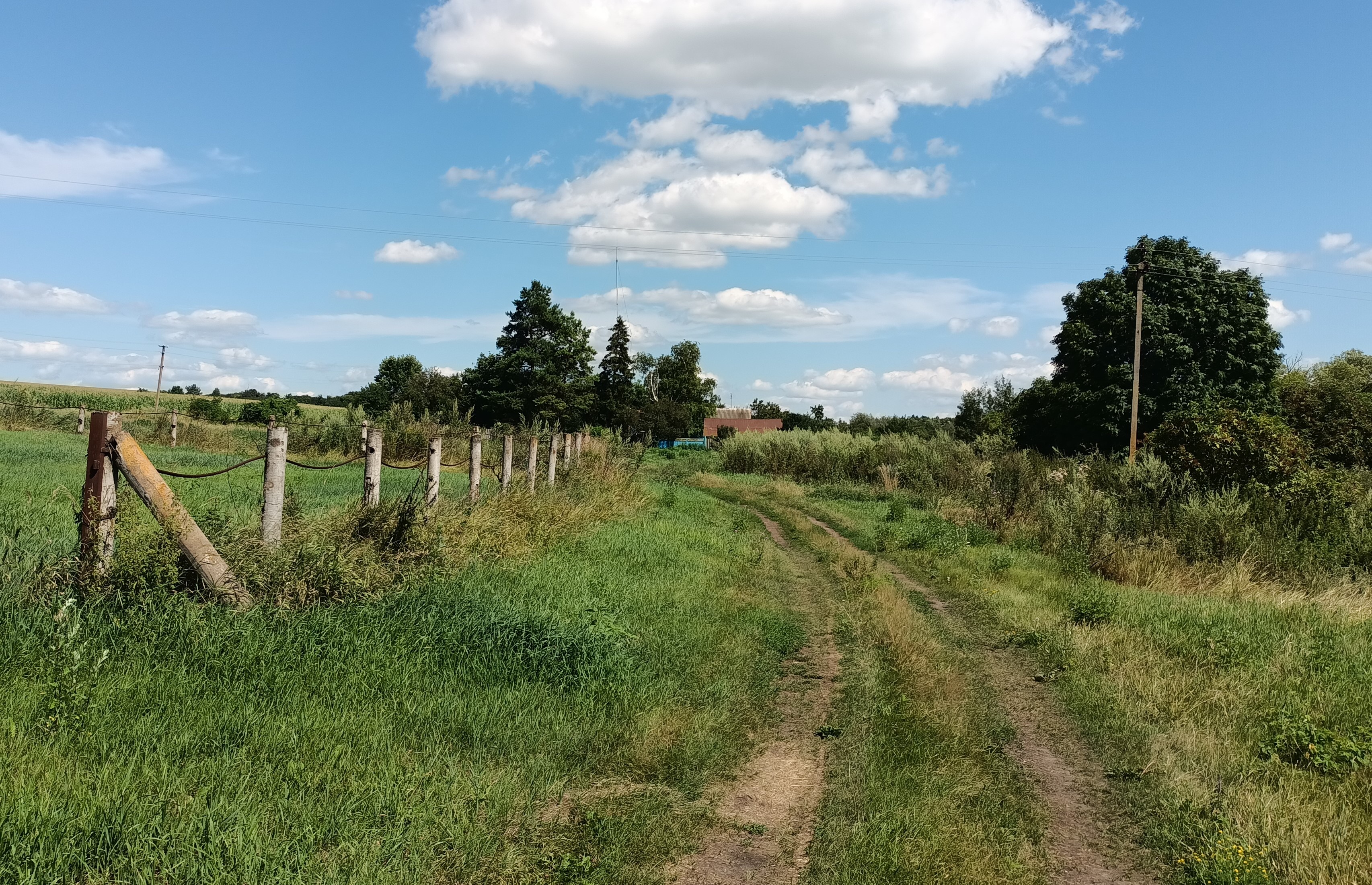 7824 Hannivka Oves