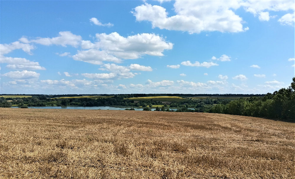 7831 Miroshnykivka Vjizd