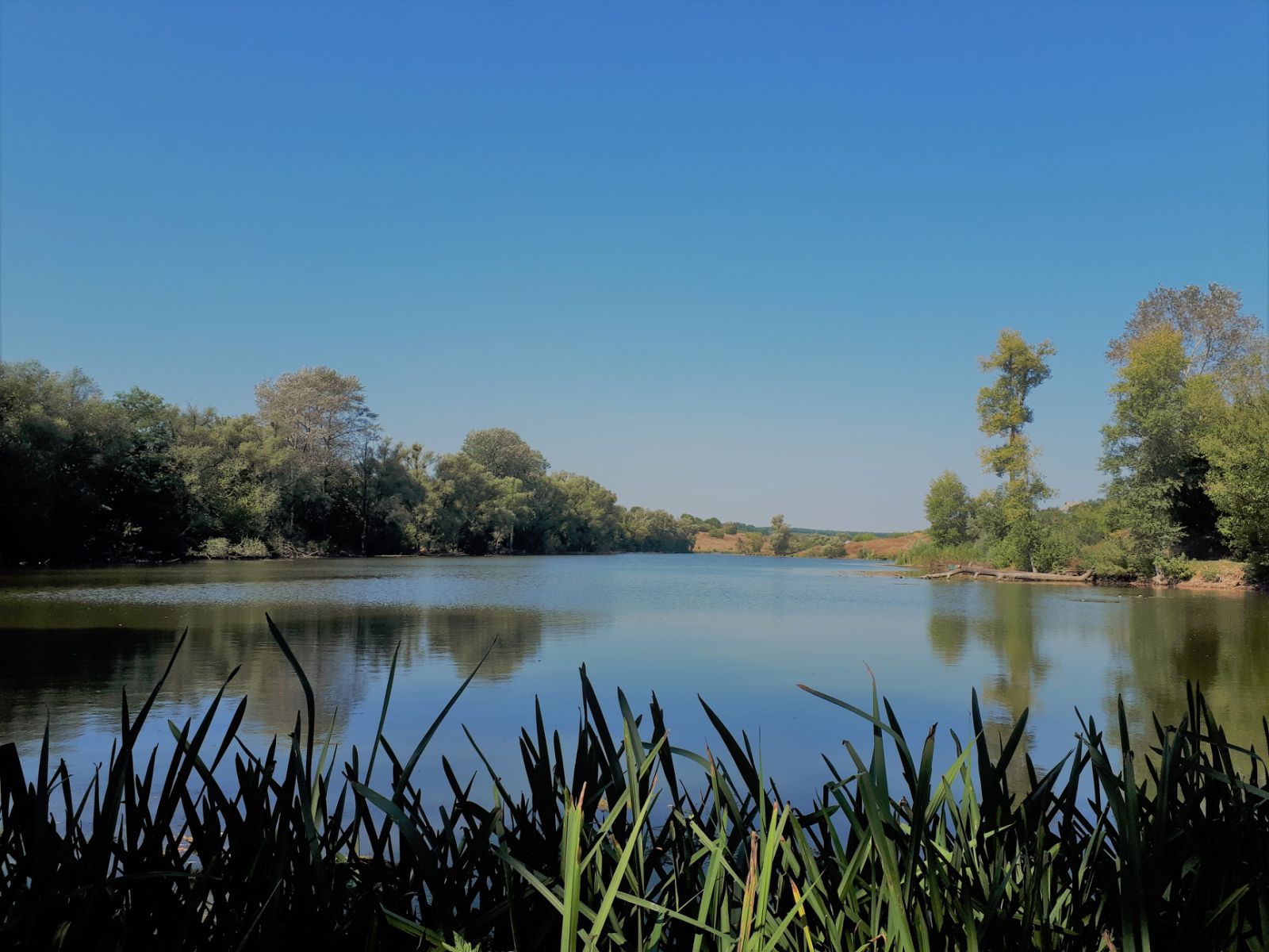 Центральний став